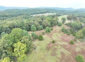 36.02 Ac Parker Hollow Rd, Lost River, WV 26810
