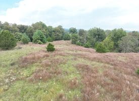 36.02 Ac Parker Hollow Rd, Lost River, WV 26810