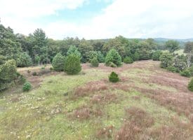 36.02 Ac Parker Hollow Rd, Lost River, WV 26810