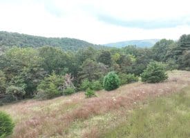 36.02 Ac Parker Hollow Rd, Lost River, WV 26810