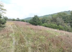 36.02 Ac Parker Hollow Rd, Lost River, WV 26810