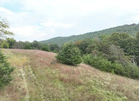 36.02 Ac Parker Hollow Rd, Lost River, WV 26810