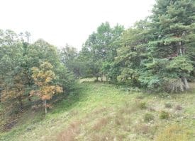 36.02 Ac Parker Hollow Rd, Lost River, WV 26810