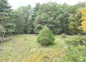 36.02 Ac Parker Hollow Rd, Lost River, WV 26810