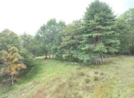 36.02 Ac Parker Hollow Rd, Lost River, WV 26810