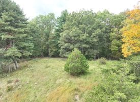 36.02 Ac Parker Hollow Rd, Lost River, WV 26810