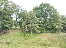 36.02 Ac Parker Hollow Rd, Lost River, WV 26810
