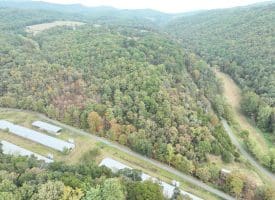 36.02 Ac Parker Hollow Rd, Lost River, WV 26810