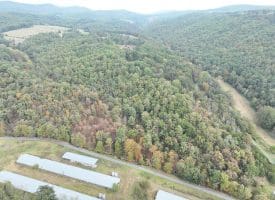 36.02 Ac Parker Hollow Rd, Lost River, WV 26810