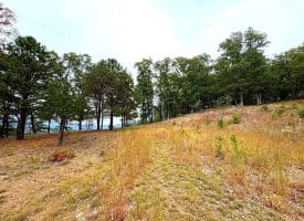 3.64 Ac White Oak Crossing Rd, Moorefield, WV 26836