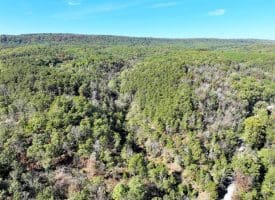 7313 Little Cacapon Rd, Romney, WV 26757