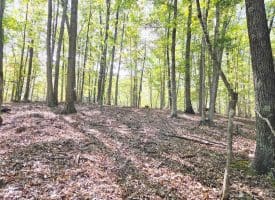 Lot 14 Deep Run Hollow, Delray, WV 26714