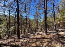 7313 Little Cacapon Rd, Romney, WV 26757