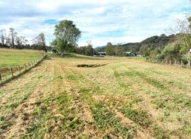 1.50 Ac Hickory Hill Rd, Purgitsville, WV 26852
