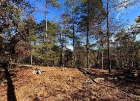 7313 Little Cacapon Rd, Romney, WV 26757
