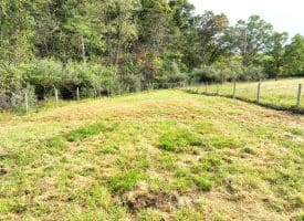 1.50 Ac Hickory Hill Rd, Purgitsville, WV 26852