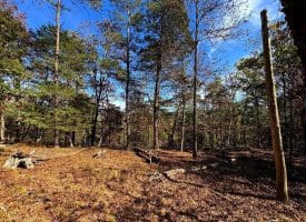 7313 Little Cacapon Rd, Romney, WV 26757