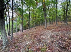 3.64 Ac White Oak Crossing Rd, Moorefield, WV 26836