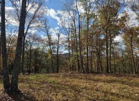 1232 Croston Rd, Paw Paw, WV 25434