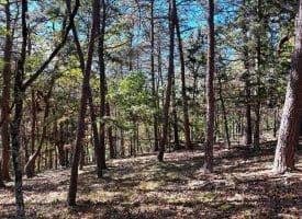 7313 Little Cacapon Rd, Romney, WV 26757