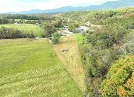 1.50 Ac Hickory Hill Rd, Purgitsville, WV 26852