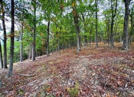 3.64 Ac White Oak Crossing Rd, Moorefield, WV 26836