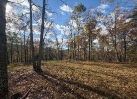 1232 Croston Rd, Paw Paw, WV 25434