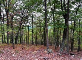 3.64 Ac White Oak Crossing Rd, Moorefield, WV 26836