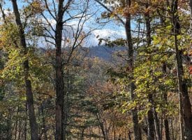 1232 Croston Rd, Paw Paw, WV 25434