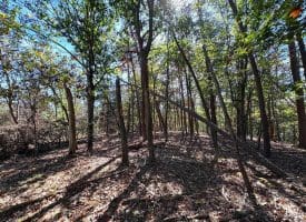 7313 Little Cacapon Rd, Romney, WV 26757