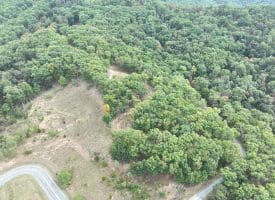 3.64 Ac White Oak Crossing Rd, Moorefield, WV 26836