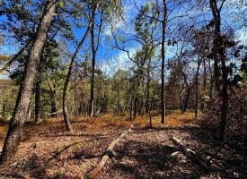 7313 Little Cacapon Rd, Romney, WV 26757