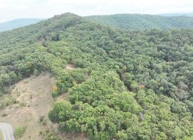 3.64 Ac White Oak Crossing Rd, Moorefield, WV 26836