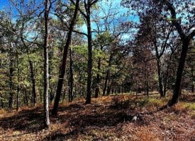 7313 Little Cacapon Rd, Romney, WV 26757