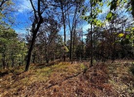 7313 Little Cacapon Rd, Romney, WV 26757