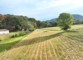 1.50 Ac Hickory Hill Rd, Purgitsville, WV 26852