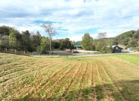 1.50 Ac Hickory Hill Rd, Purgitsville, WV 26852