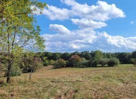20.31 Ac Jersey Mountain Rd, Levels, WV 25431
