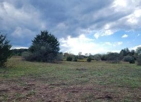 7.38 Ac Tract 2, Levels, WV 25431