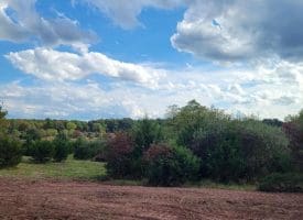 7.00 Ac Rowzee Rd, Levels, WV 25431