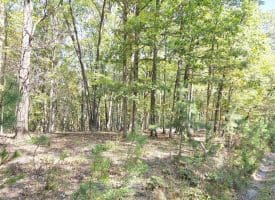 Lot 14 Deep Run Hollow, Delray, WV 26714