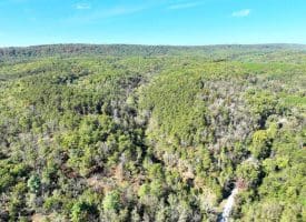 7313 Little Cacapon Rd, Romney, WV 26757