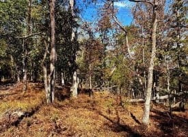 7313 Little Cacapon Rd, Romney, WV 26757