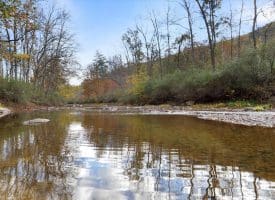1232 Croston Rd, Paw Paw, WV 25434