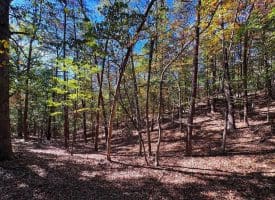 7313 Little Cacapon Rd, Romney, WV 26757