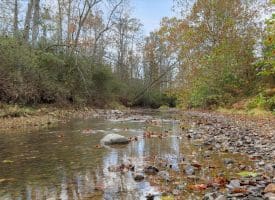 1232 Croston Rd, Paw Paw, WV 25434