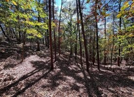 7313 Little Cacapon Rd, Romney, WV 26757
