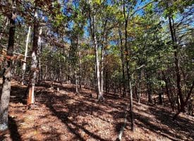 7313 Little Cacapon Rd, Romney, WV 26757