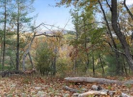 1232 Croston Rd, Paw Paw, WV 25434