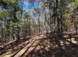 7313 Little Cacapon Rd, Romney, WV 26757